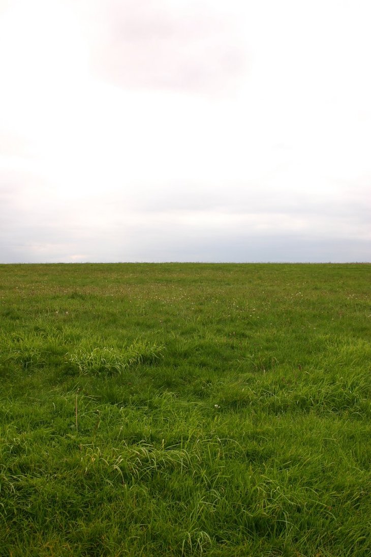 grassy_field_by_foxstox.jpg