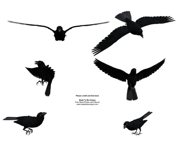 free_stock_flying_black_raven_by_madetobeunique-d3kb4nf.png