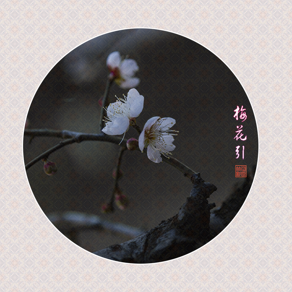 213855mkko6xcy63vibwjb.jpg