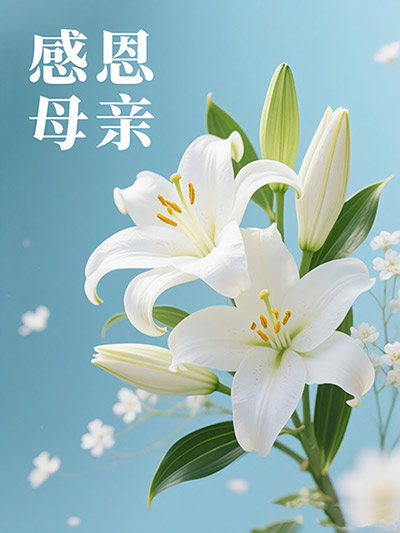 E2D7264CE2E883E4A82FC351F706A11C.jpg